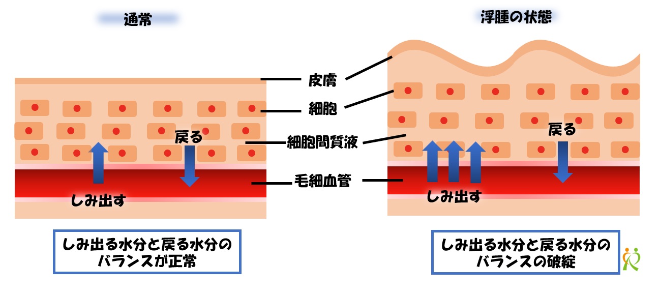 長期的な見通しはどうですか?