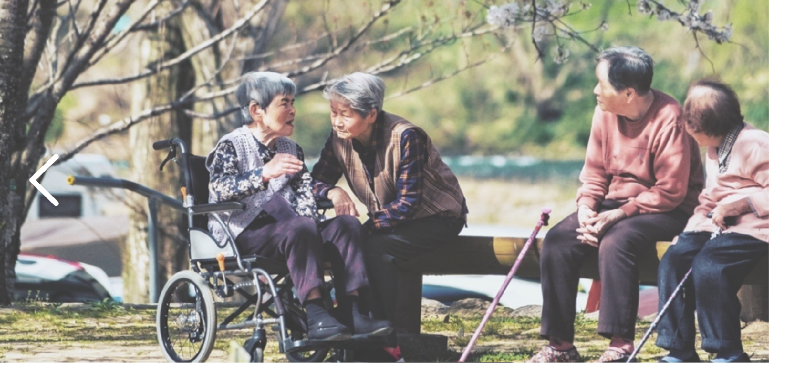 高齢の方３人がベンチ、１人が車椅子に座っている画像